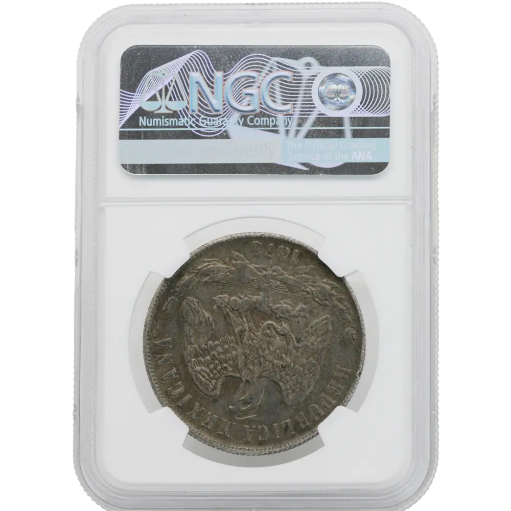 1873-GO|S Mexico Peso NGC XF 45 - Image 2