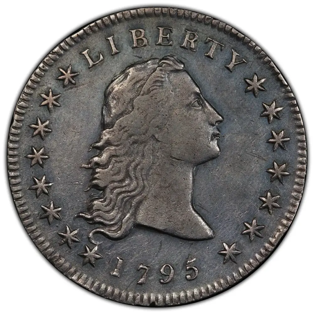 1795 Flowing Hair Silver Dollar 2 Leaves PCGS VF Detail