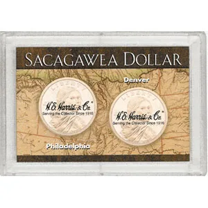 Sacagawea P & D Frosty Case