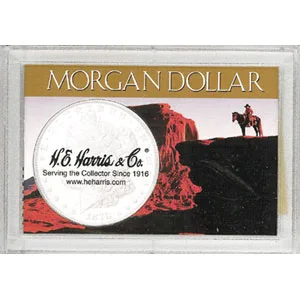 Morgan Dollar Frosty Case