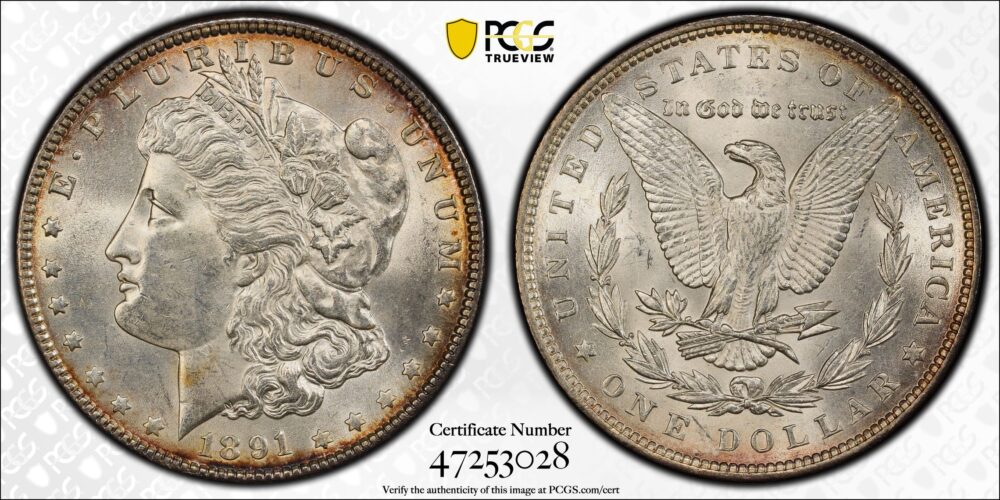1891 $1 Morgan Dollar PCGS Genuine Cleaned- UNC Detail - Image 2