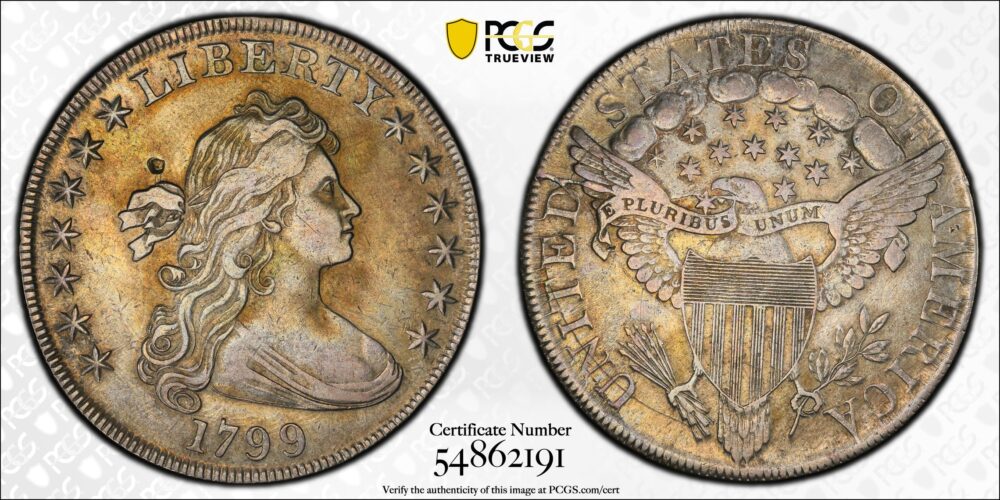 1799 $1 Flowing Hair Dollar PCGS XF Detail - Image 2