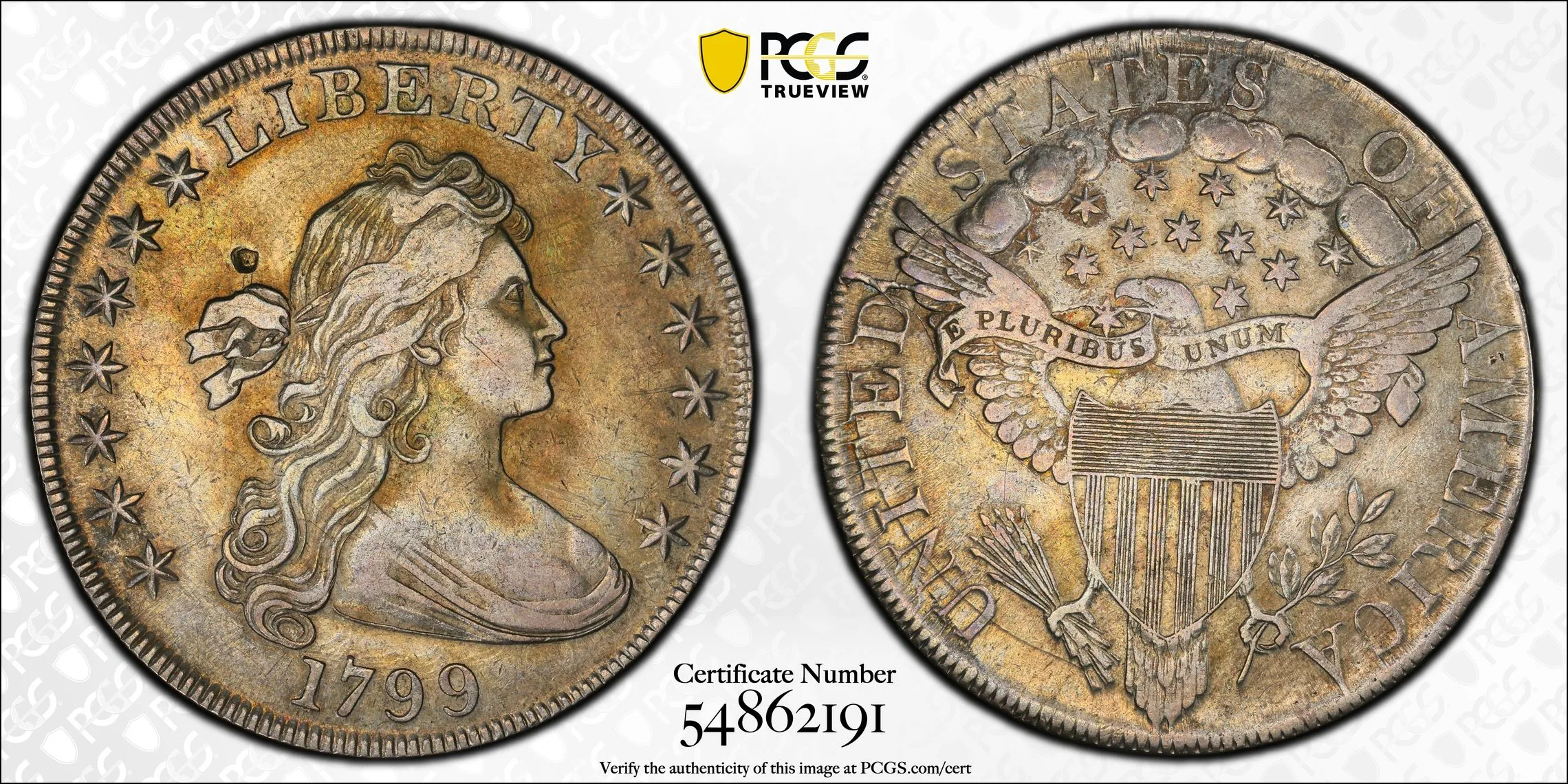 1799 $1 Flowing Hair Dollar PCGS XF Detail - Image 2