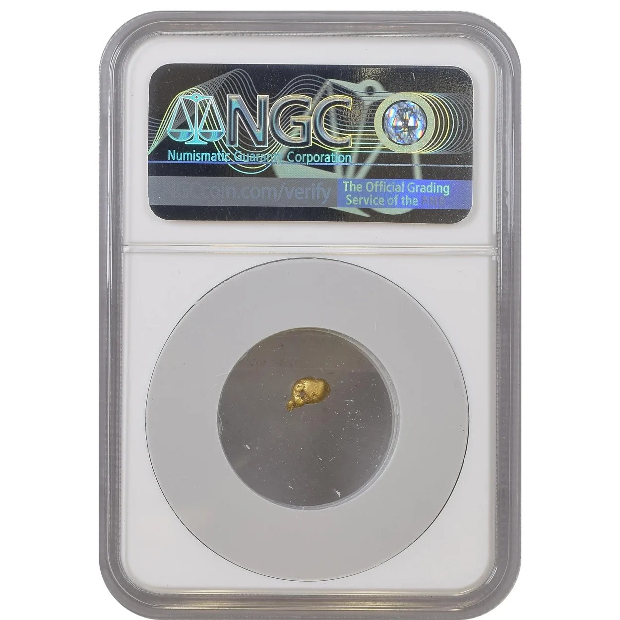 SS Central America 0.65g California Gold Rush Nugget NGC - Image 2