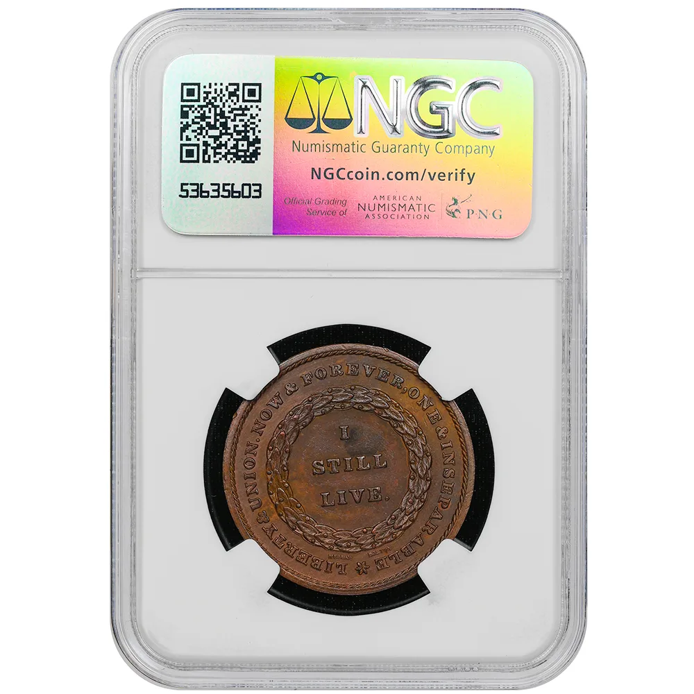 Undated Daniel Webster Merriam Medal SCH-C36 AE 32MM NGC MS 63 BN - Image 2