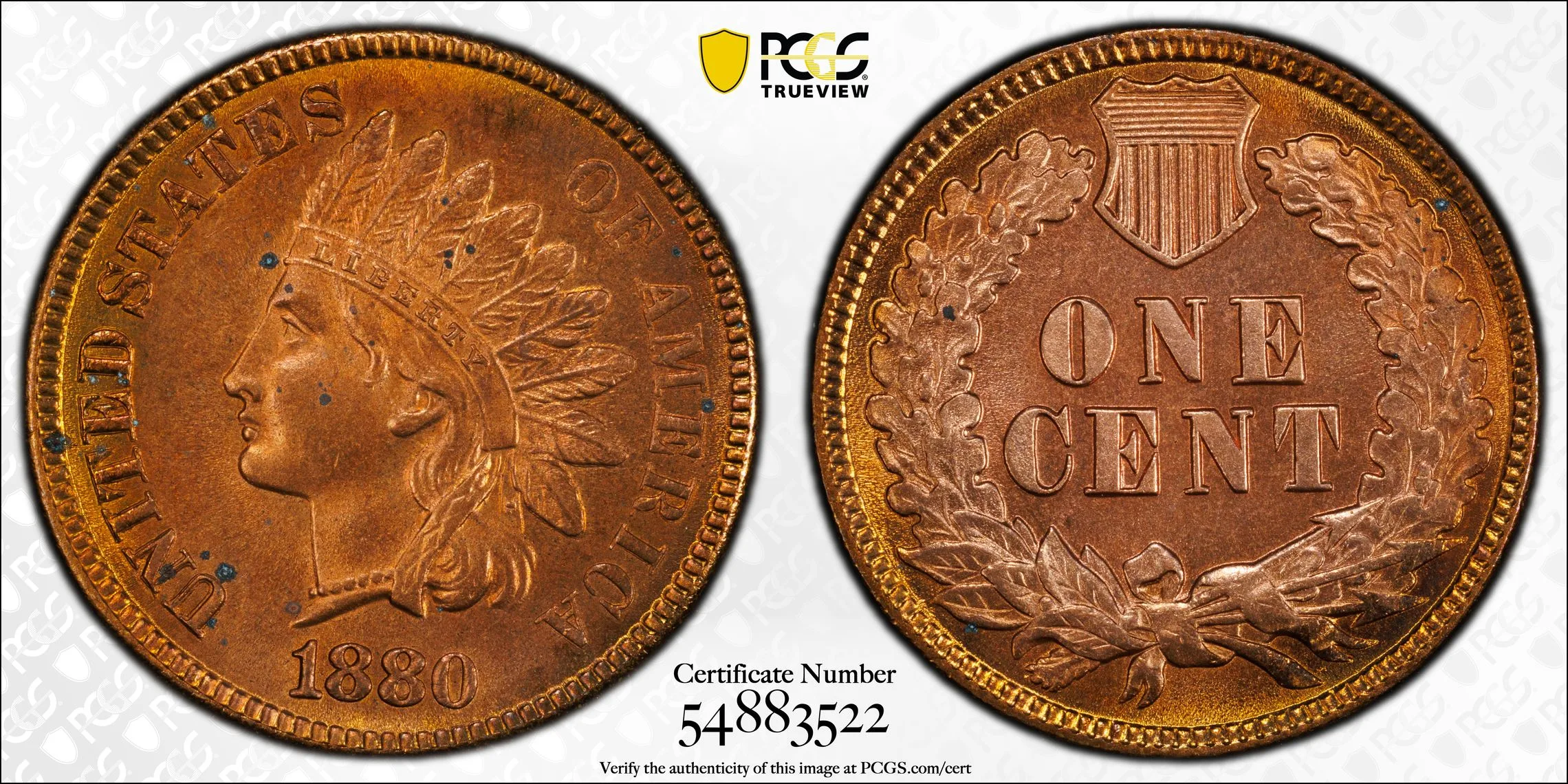 1880 Indian Head Cent PCGS UNC Detail- Genuine Questionable Color - Image 2