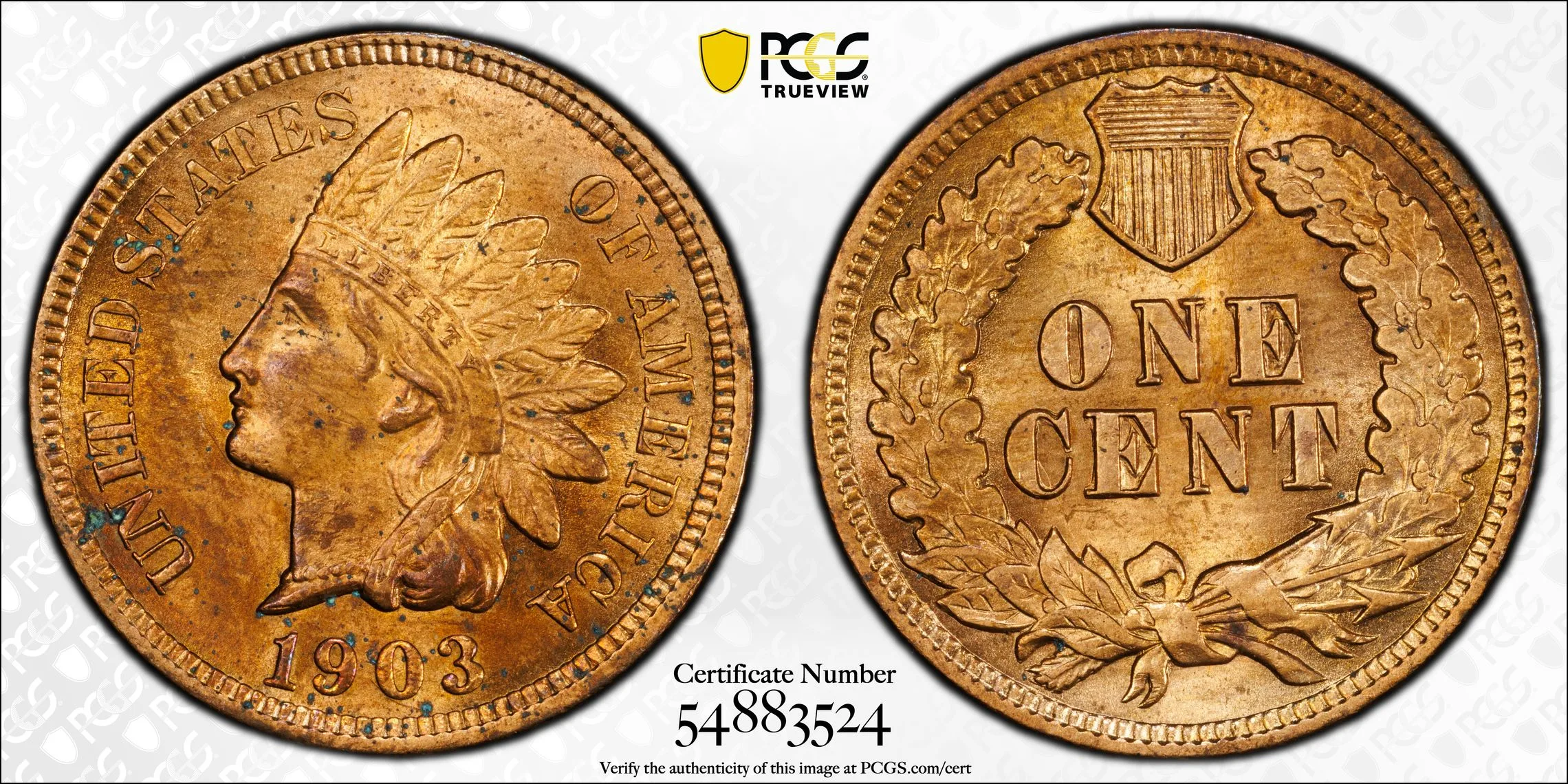 1903 Indian Head Cent PCGS UNC Detail- Genuine Questionable Color - Image 2