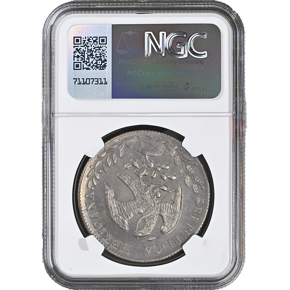1896-CN|AM Mexico 8 Reales NGC UNC Details
