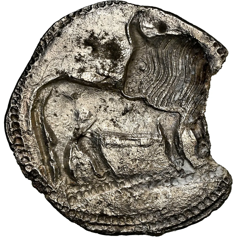 c.550-510 BC LUCANIA SYBARIS AR Stater NGC AU Strike 5/5 - Image 3