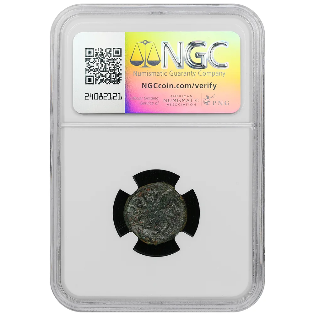 Sicily Syracuse c.435-400 BC Arethusa Reverse Octopus AE Tetras NGC Very Good