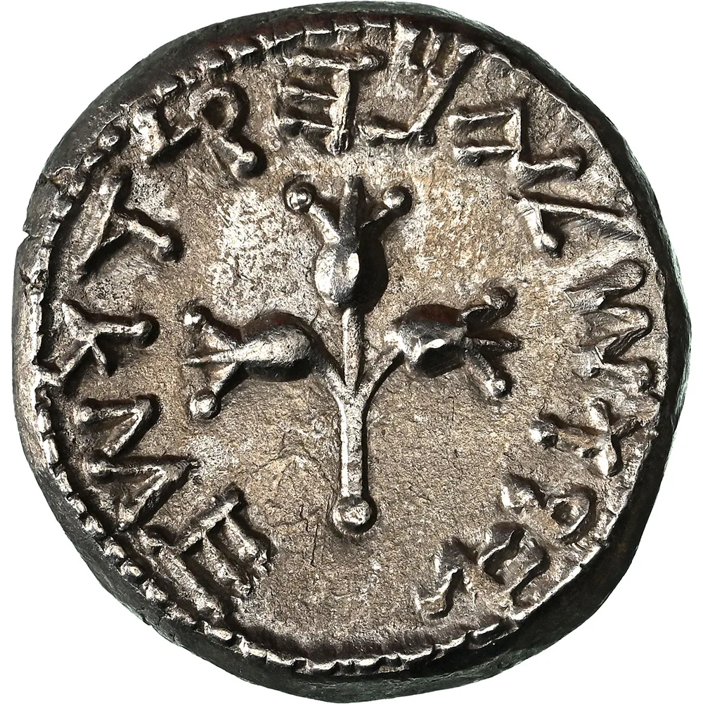 JUDAEA. First Jewish War, 66-70 C.E. AR Shekel (13.93 g), Jerusalem Mint, year 2 (67/8 C.E.) NGC AU Strike 5/5