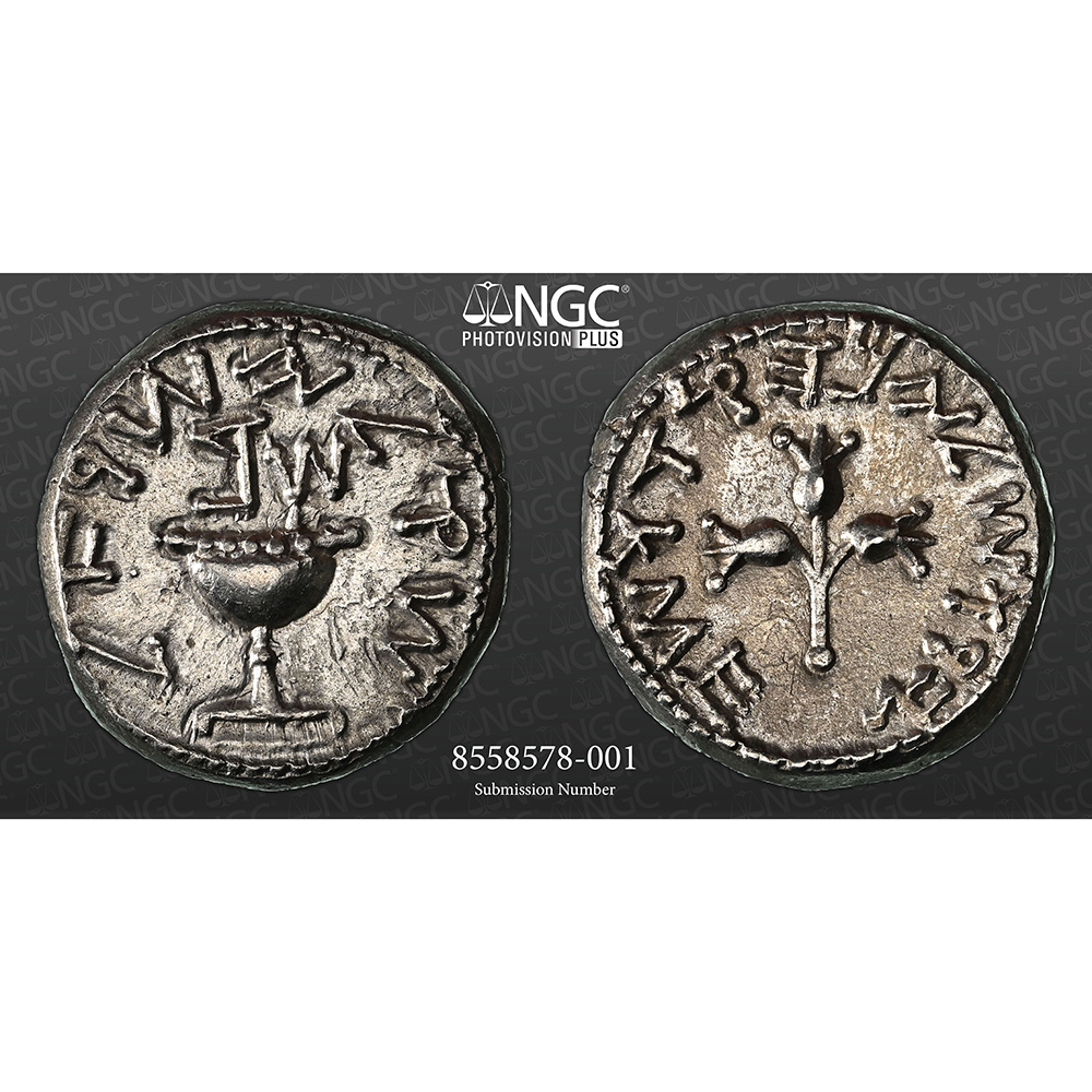 Judaea First Jewish War Shekel Year 2 NGC AU | CV Coin