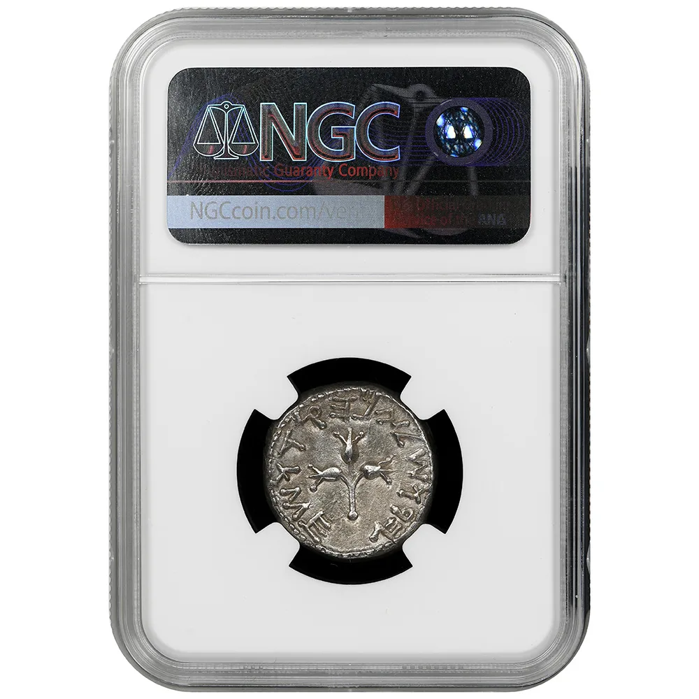 JUDAEA. First Jewish War, 66-70 C.E. AR Shekel (13.93 g), Jerusalem Mint, year 2 (67/8 C.E.) NGC AU Strike 5/5