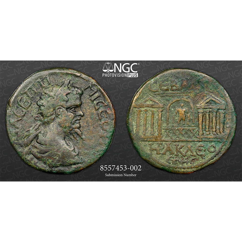 AD 193-211 Septimius Severus Pontus, Sebastopolis AE 27 NGC VF