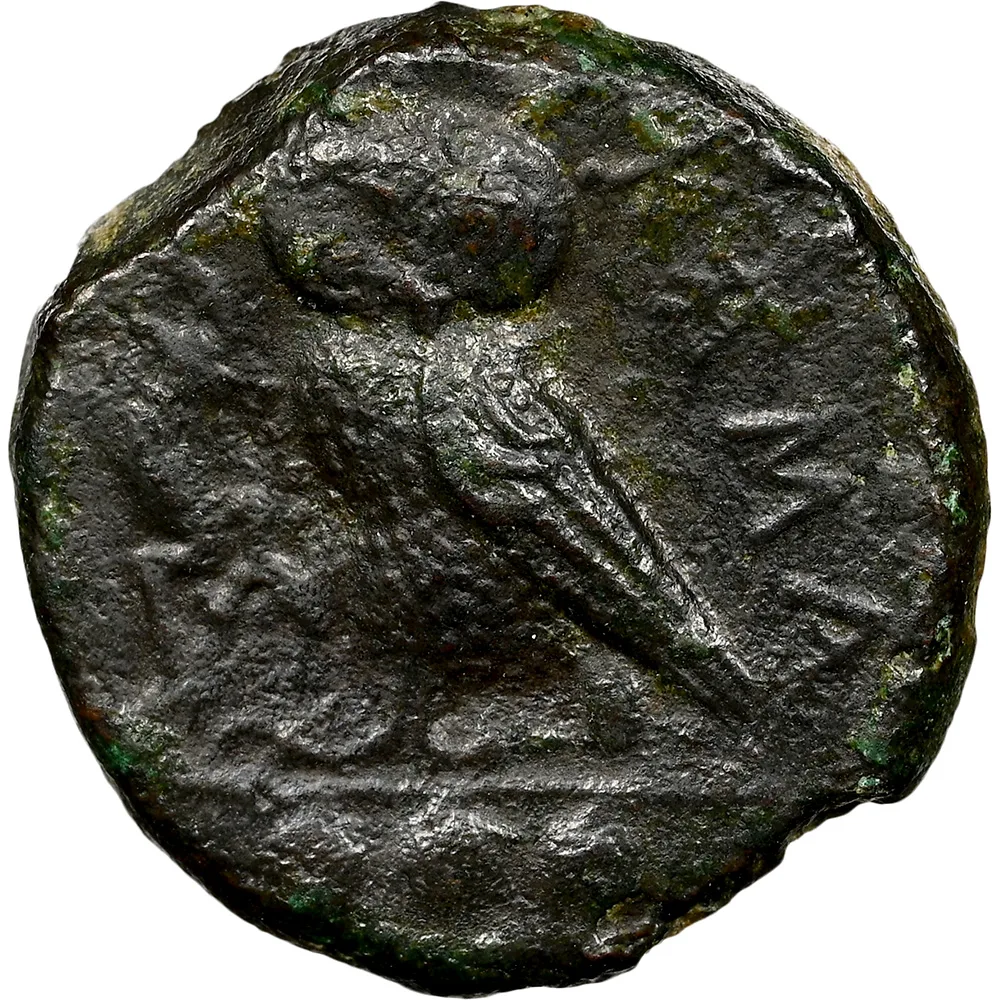 c.420-405 BC Sicily Camarina AE Tetras OBV Aethna NGC Choice XF