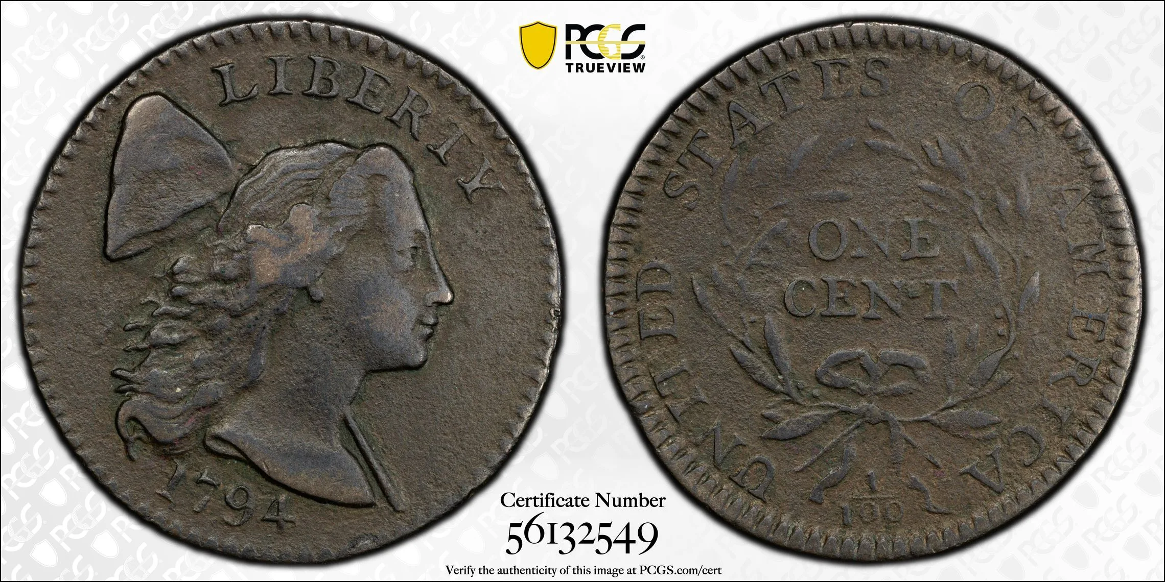 1794 1C Flowing Hair Large Cent PCGS VF Details- Environment Damage - Image 2