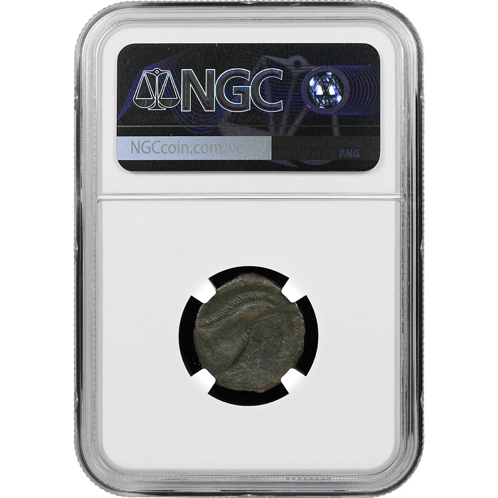 c. 3rd Century BC Carthage AE 19 Shekel Tanit & Horse NGC CH F