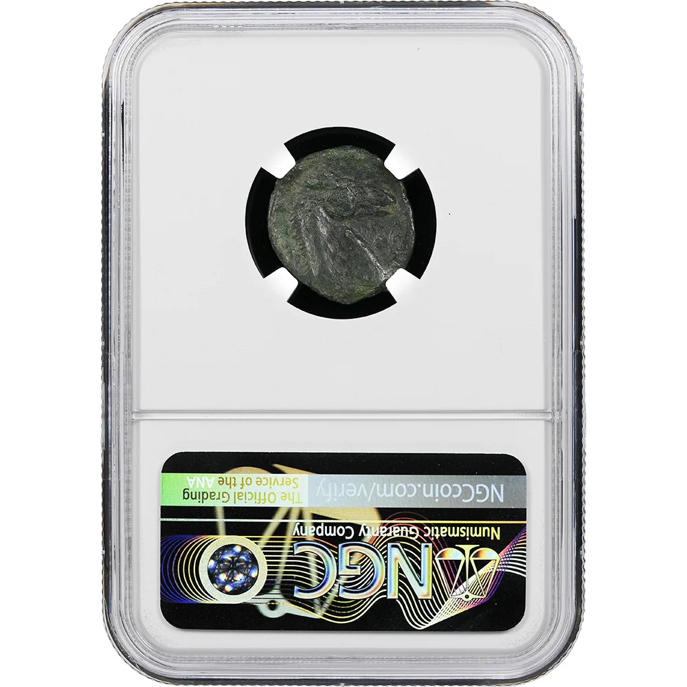 c. 3rd Century BC Carthage AE 20 Shekel Tanit & Horse NGC VF