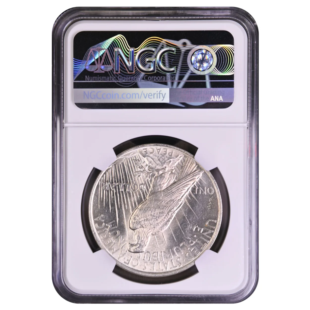 1924 $1 Peace Dollar NGC Brilliant UNC - Image 2