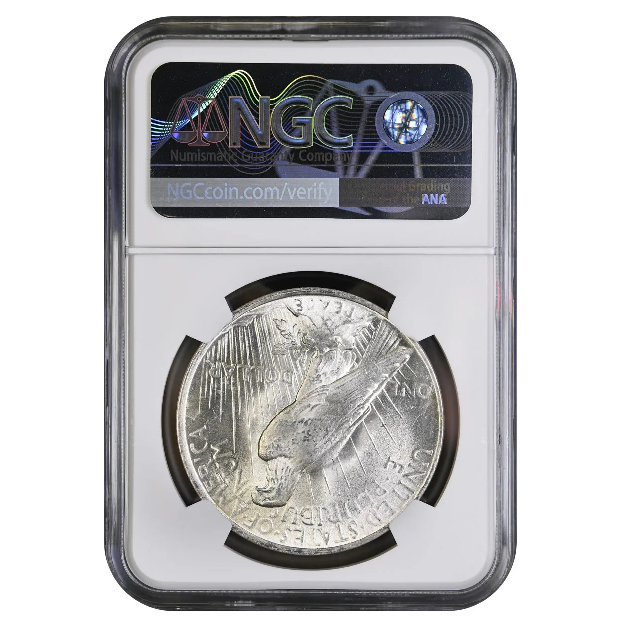 1923 $1 Peace Dollar NGC MS64 - Image 2