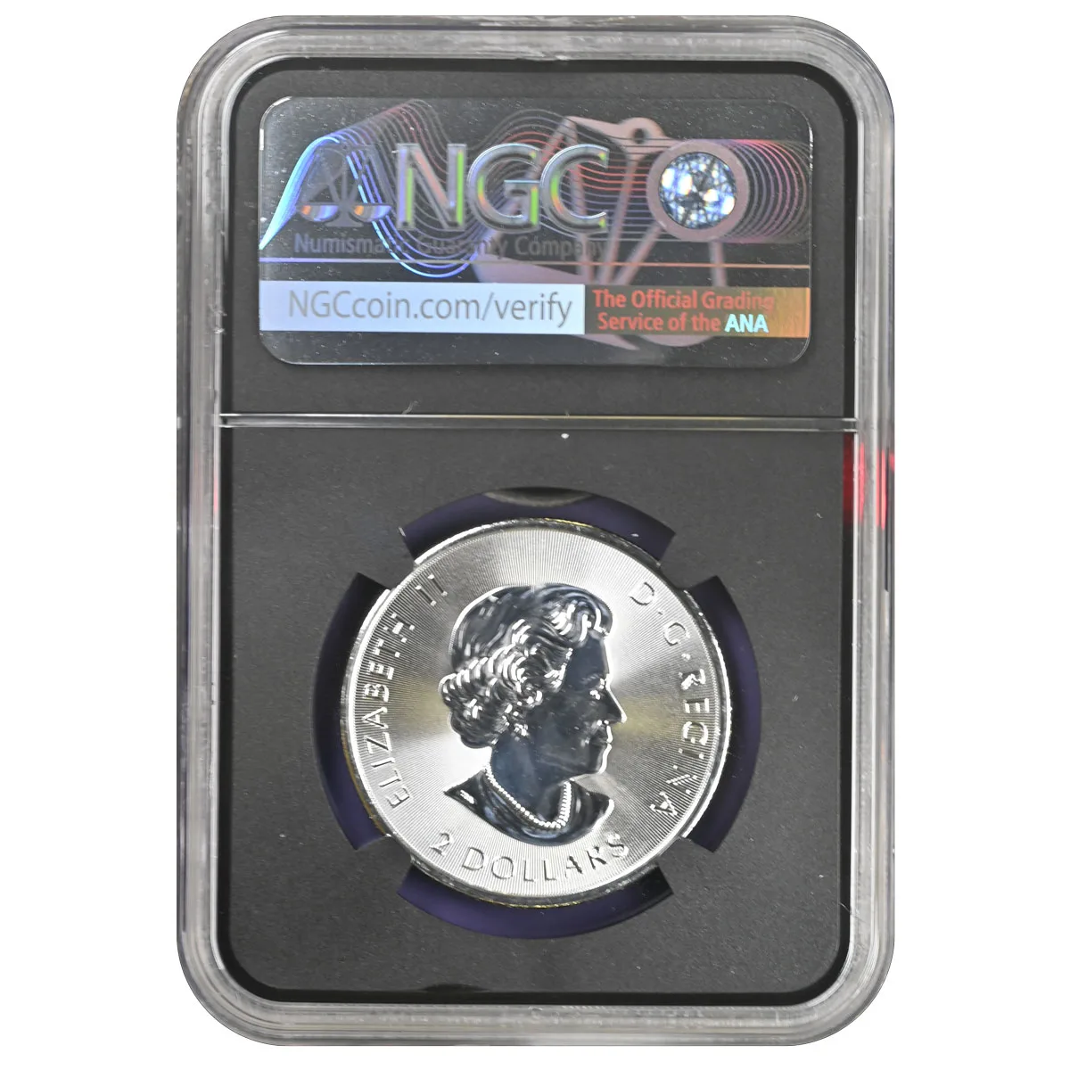 2021 Canada 1/2 oz Silver $2 Red Tailed Hawk NGC MS69 - Image 2